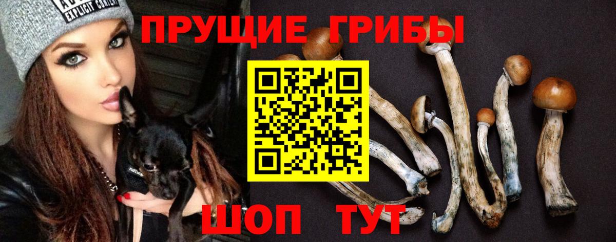 Фурманов  Галлюциногенные грибы ЛСД  Вход с VPN 